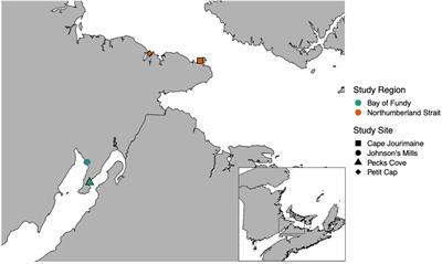 Variation in resource use between adult and juvenile Semipalmated Sandpipers (Calidris pusilla) and use of physiological indicators for movement decisions highlights the importance of small staging sites during southbound migration in Atlantic Canada